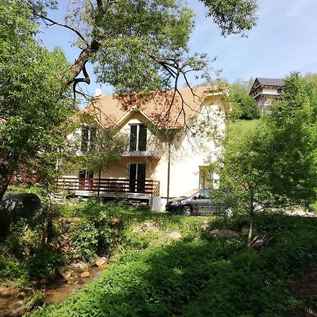 Vila Vrh Crni Vrh Exterior photo